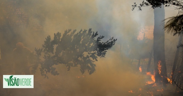La réactivation des incendies à Bustelo (Chaves) met des villages en danger